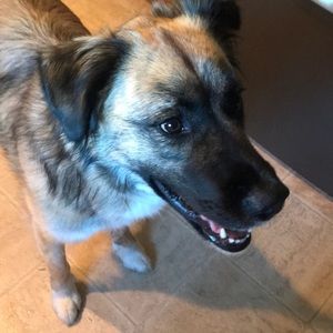 Meet your Posher, Ava